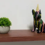 studio-6-novo-aconchegante-e-amplo (9)